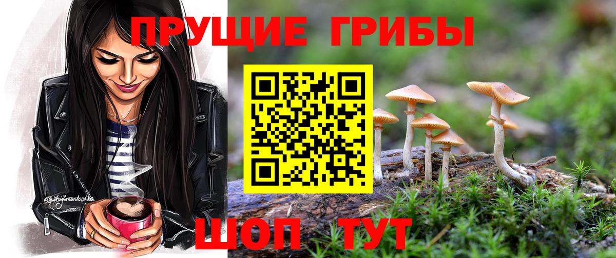 Дзержинский  Галлюциногенные грибы мицелий  Вход с VPN 